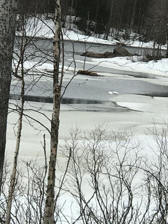 Villa Somosenranta Oikarainen Exteriér fotografie